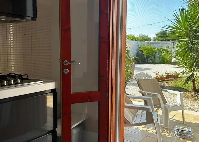 Girasole * ג'ובינאצו